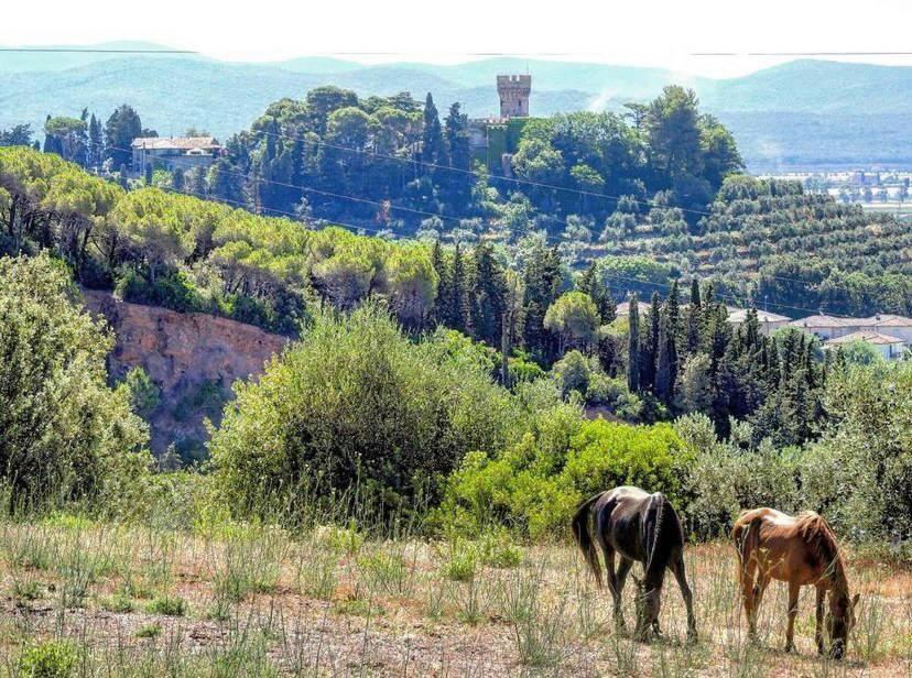 B&B Villa Il Poggetto Venturina Terme Exterior foto
