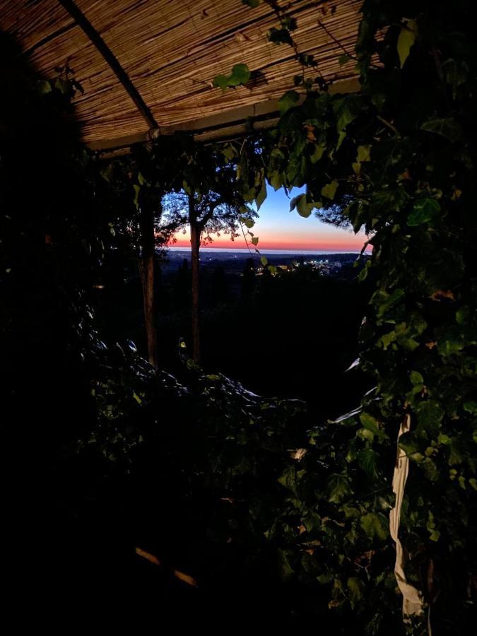 B&B Villa Il Poggetto Venturina Terme Exterior foto