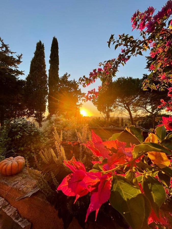B&B Villa Il Poggetto Venturina Terme Exterior foto