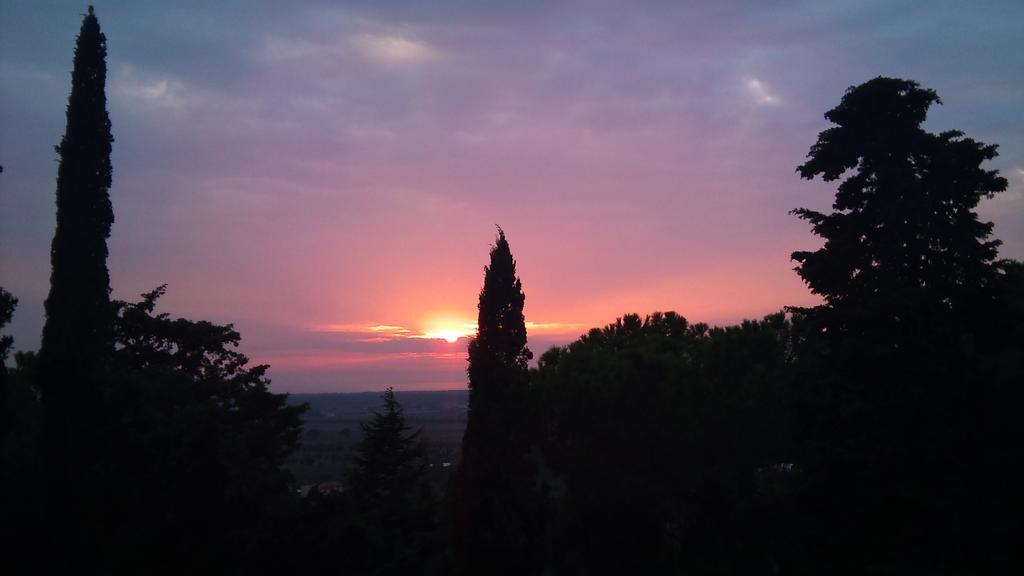 B&B Villa Il Poggetto Venturina Terme Exterior foto