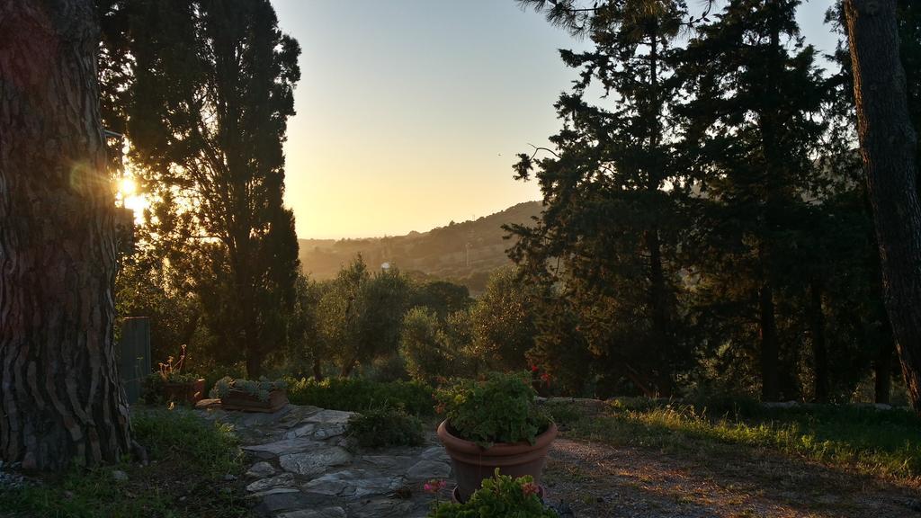 B&B Villa Il Poggetto Venturina Terme Exterior foto